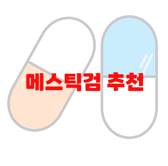 메스틱검 추천 순위 Top 10