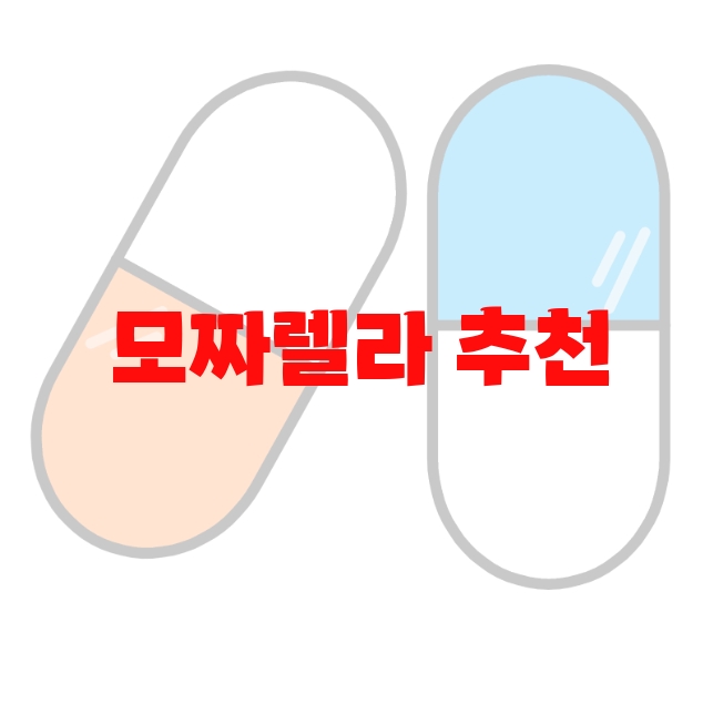 모짜렐라 추천 리뷰 좋은 순위 Top  10