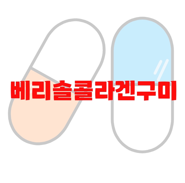 베리솔콜라겐구미 추천 검색량 많은 순위 Top  10