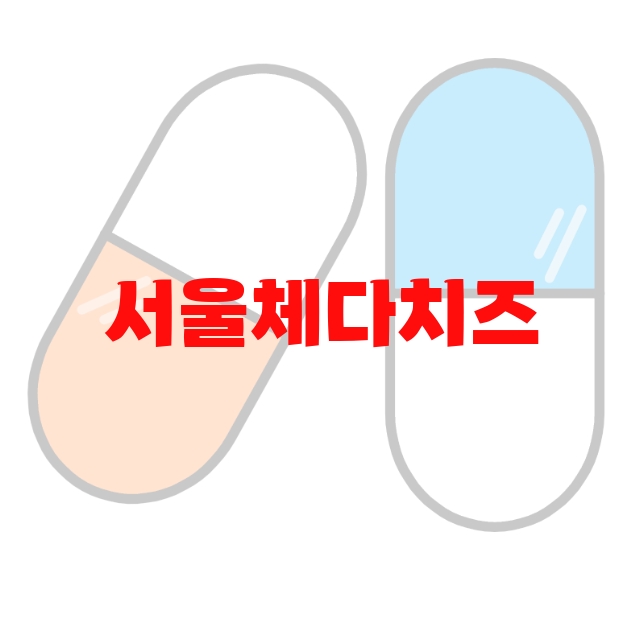 서울체다치즈 추천 리뷰 좋은 제품 Top 10 서울체다치즈 추천 리뷰 좋은 제품 Top 10