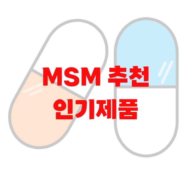 MSM 추천 인기제품 Top 10 MSM 추천 인기제품 Top 10