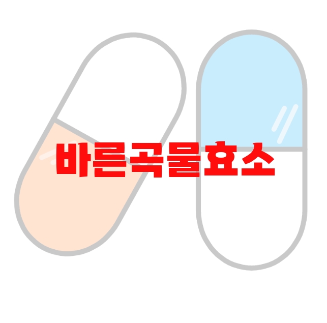 바른곡물효소 추천 검색량 많은 상품 Top  10 바른곡물효소 추천 검색량 많은 상품 Top  10