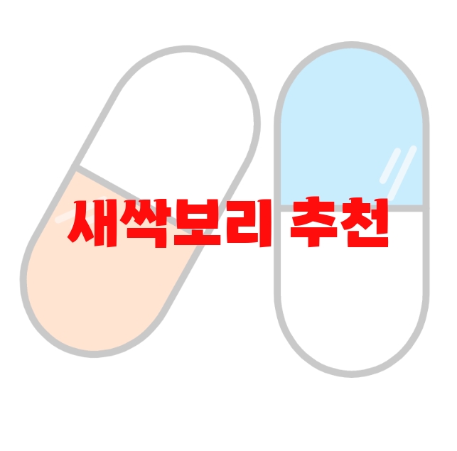 새싹보리 추천 판매량 많은 Top  10