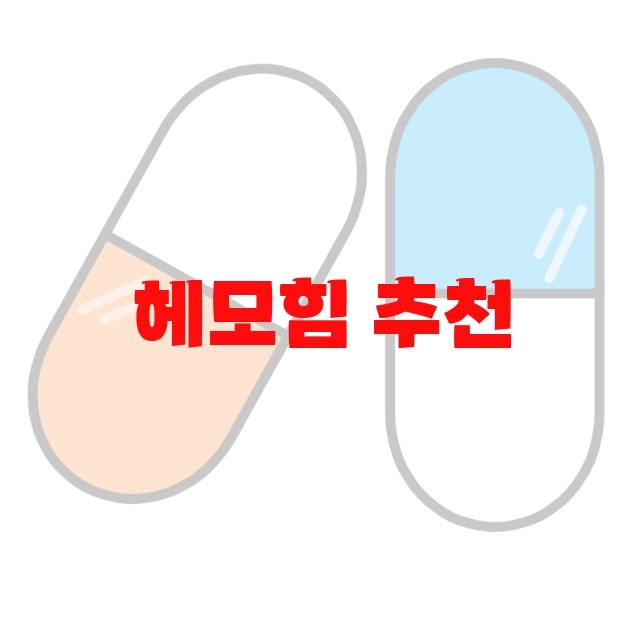 헤모힘 추천 인기제품 Top 10