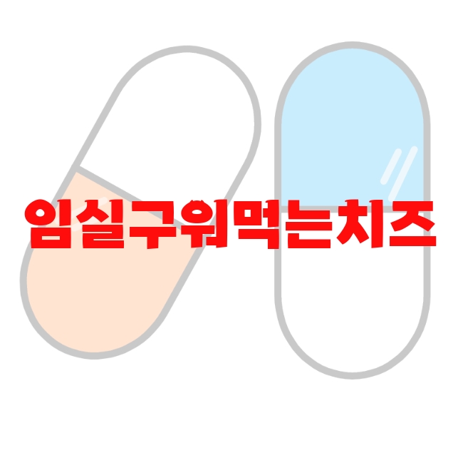 임실구워먹는치즈 추천 인기제품 Top 10 임실구워먹는치즈 추천 인기제품 Top 10