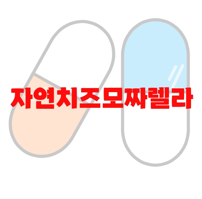 자연치즈모짜렐라 추천 순위 Top  10